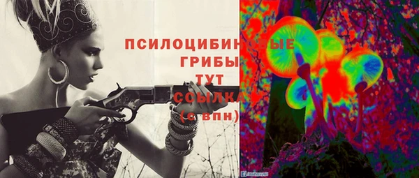 гидра Пролетарск