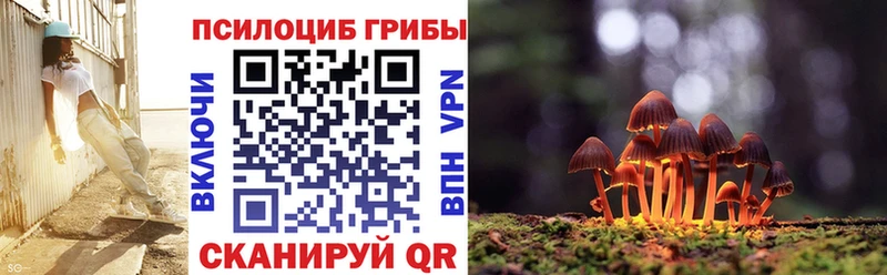 сколько стоит  KRAKEN маркетплейс  Галлюциногенные грибы MAGIC MUSHROOMS  Кремёнки 