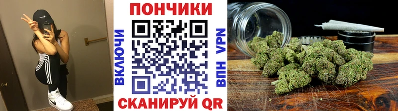 Шишки марихуана Amnesia  Кремёнки 